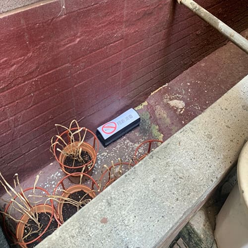 【環境消毒】老鼠-防治蟲害 (5)-RUH9J.jpg